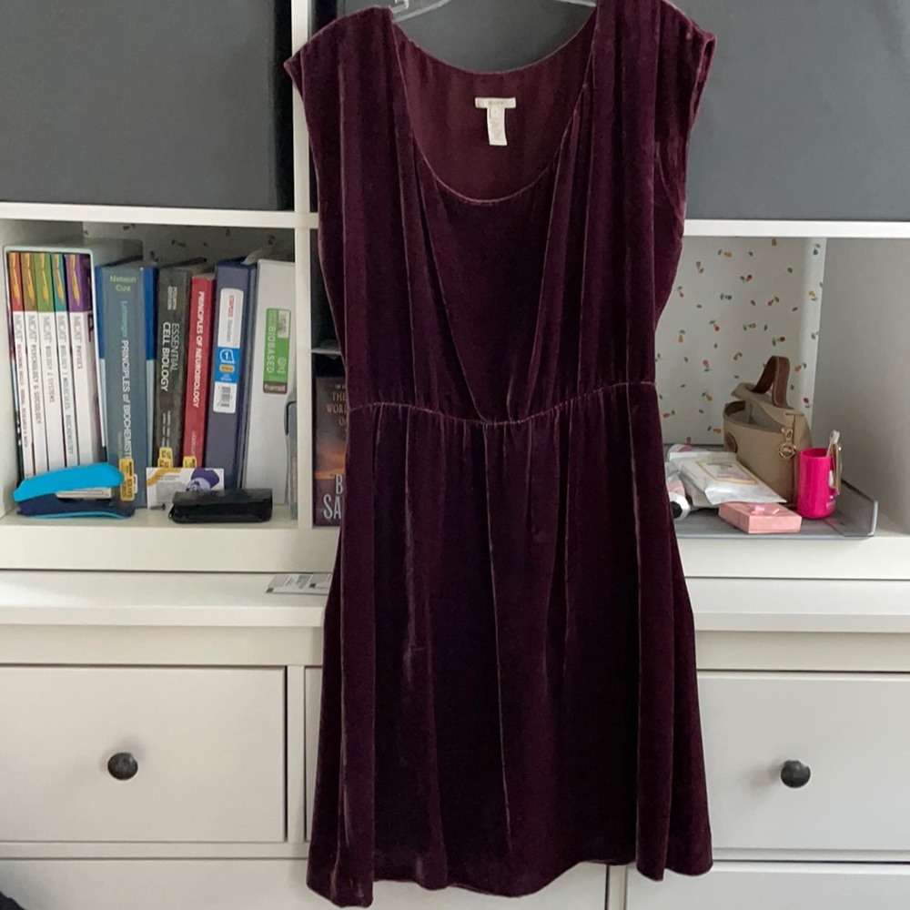 J. Crew Velvet Dress